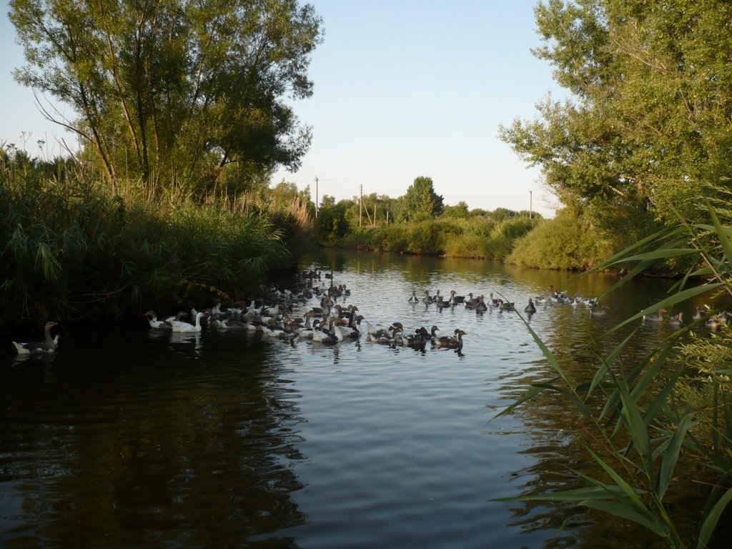 Morning on the River in Semenovka, Боковская
