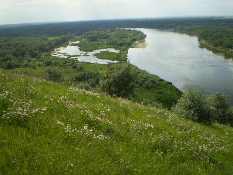 Вид на Дон с Кузнецовской горы, Боковская