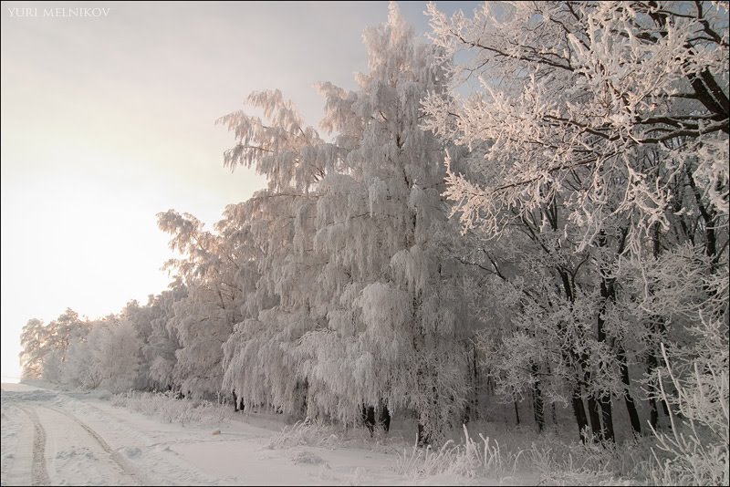 Зима в хуторе Сеньшин, Боковская
