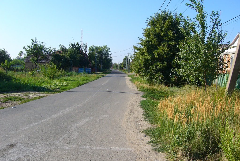 Ул.  Советская, Дорога К Центру (2011). Street. The Soviet, The Road to the center (2011), Большая Мартыновка