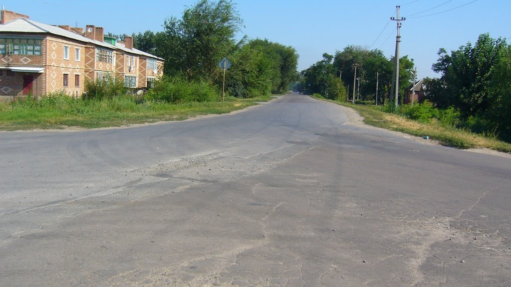 Трасса По Улице Ковалева (2011). Track down the street Kovalev (2011), Большая Мартыновка