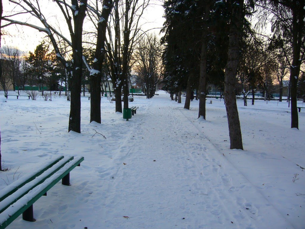Парк Зимой. winter Park, Большая Мартыновка