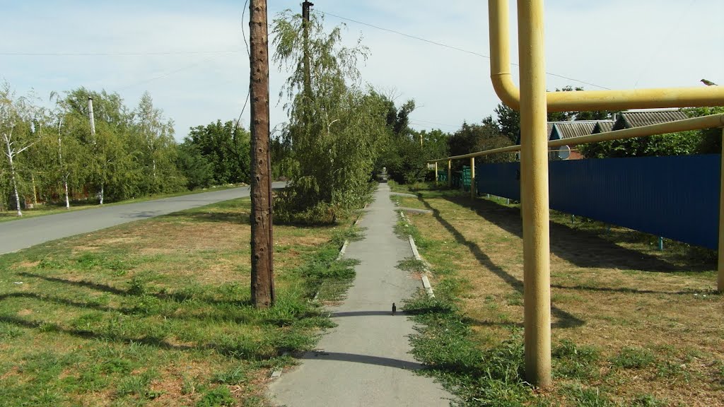 Тропа По Улице Советская 2012, The trail through the streets of the Soviet, Большая Мартыновка