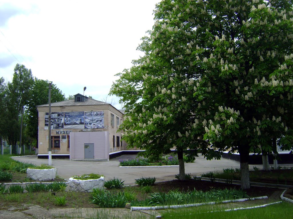 Музей и каштаны, Гуково
