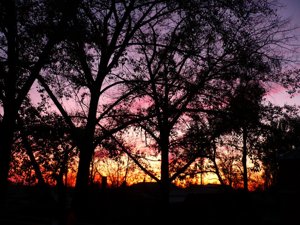 Purple sunset, Гуково