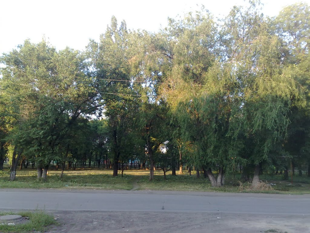 парк, Гуково