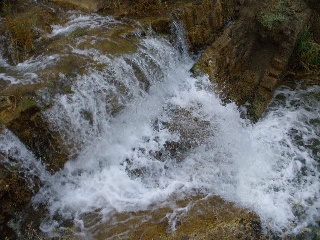 Кушнарёвский пруд, Жирнов