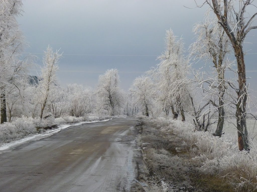 Дорога зимой., Зверево