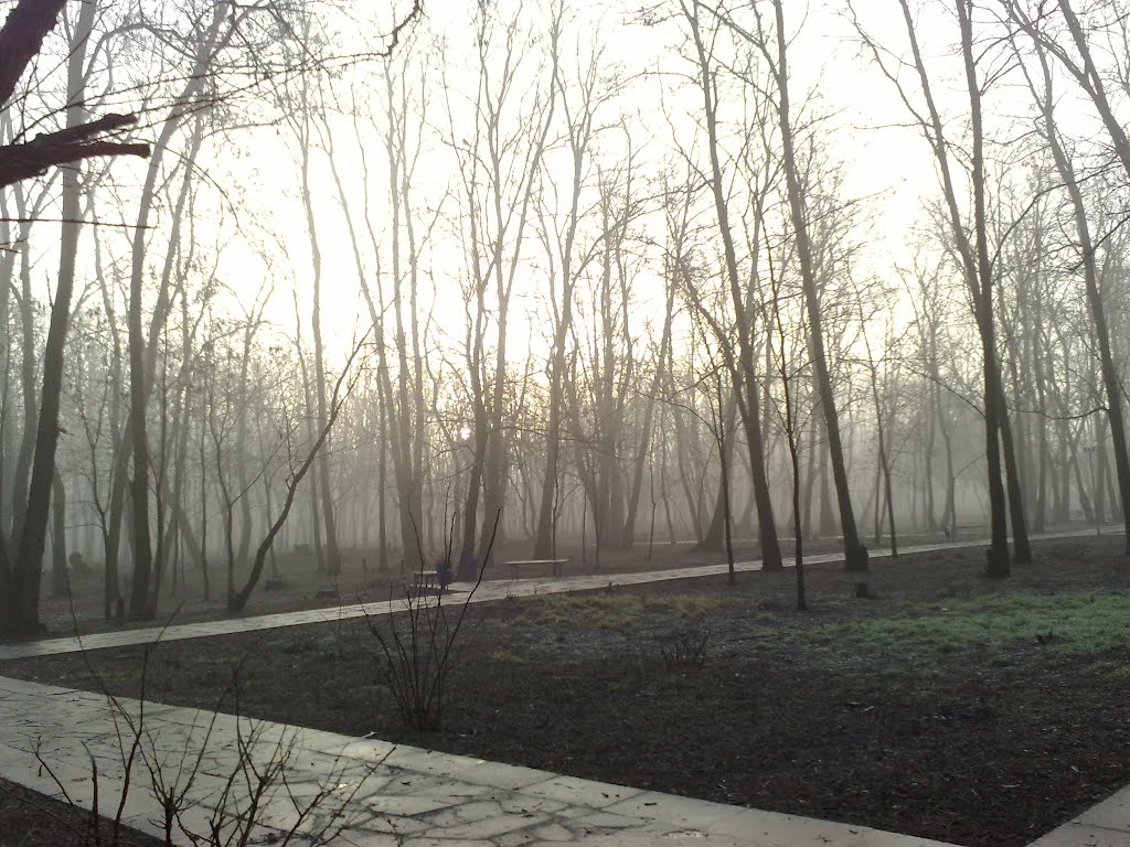 Парк в декабре, Зверево