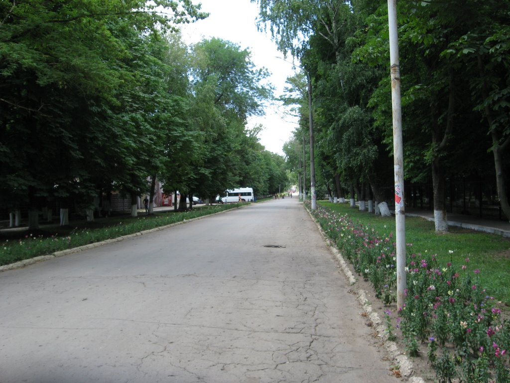 Главная улица, Зерноград