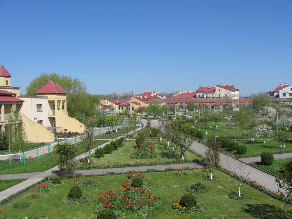 Весна в разгаре! (28 апреля 2010), Зерноград