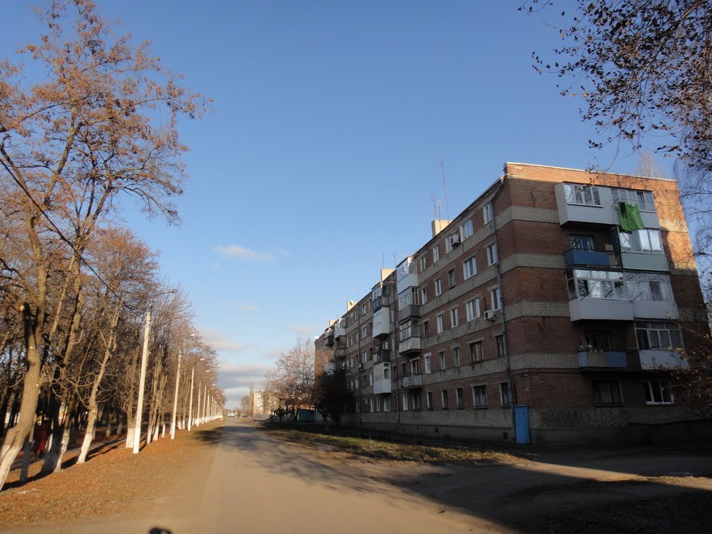 дом, Зерноград