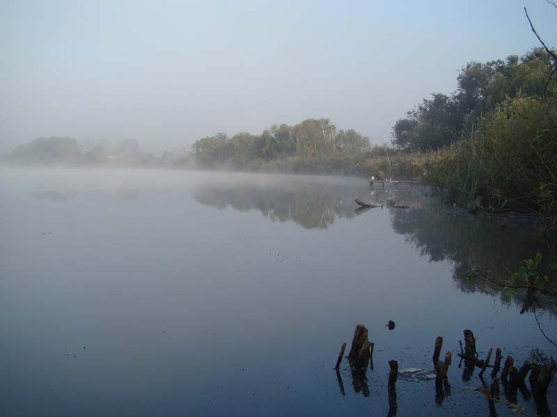 Утренний туман, Кагальницкая