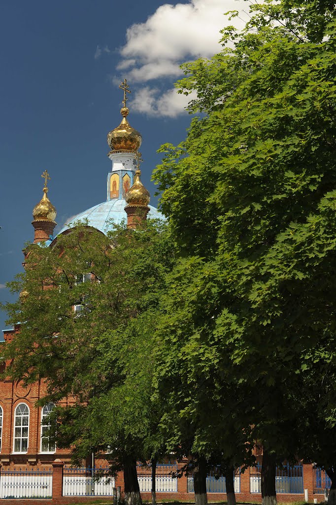 Вид на Покровскую церковь с аллеи, Константиновск