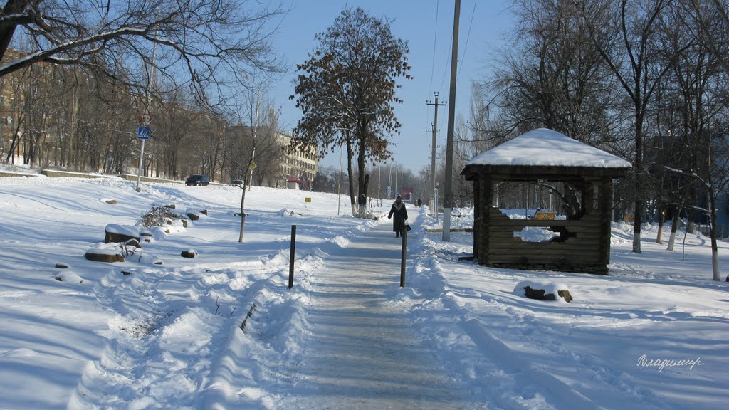 2011_Зима,январь, Красный Сулин