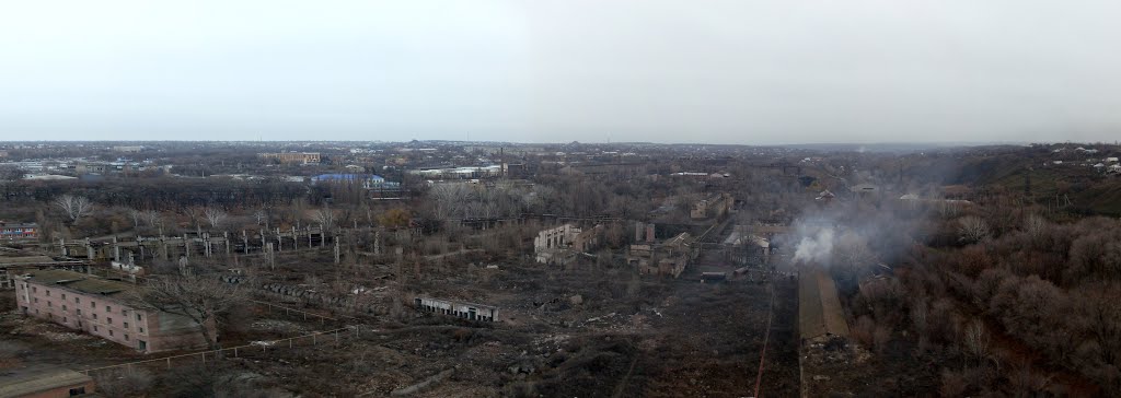 Красный сулин фото Красный сулин фото