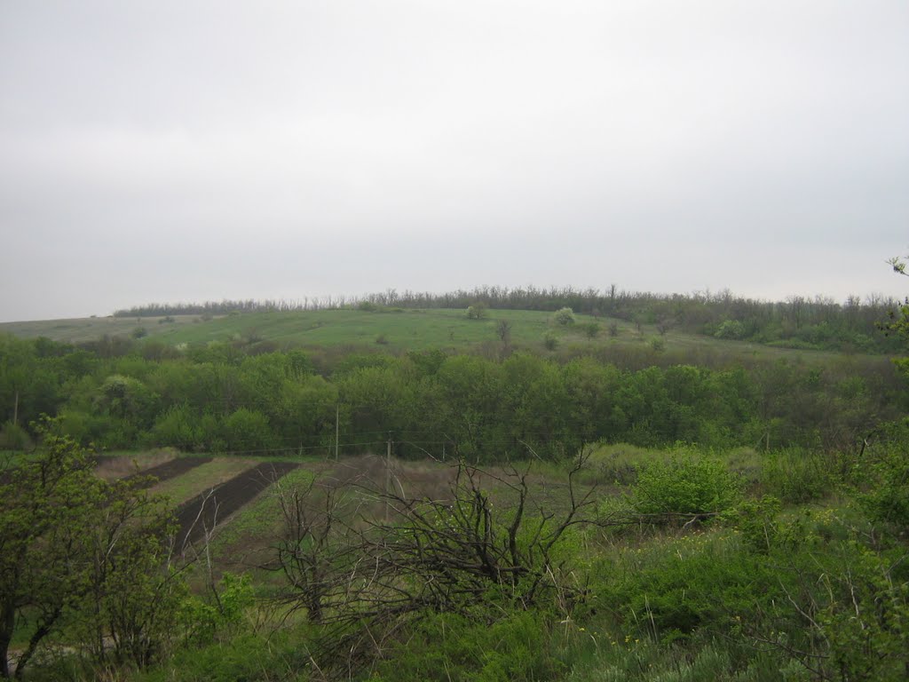 Куйбышево Ростовской - Скачать открытку