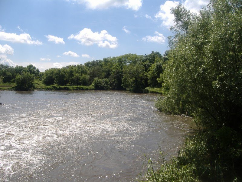 Величие Куйбышевского Леса в Ростовской Области Природные истории Фотогалерея пр