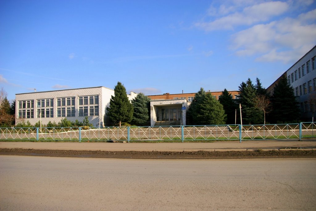 Школа, Матвеев Курган