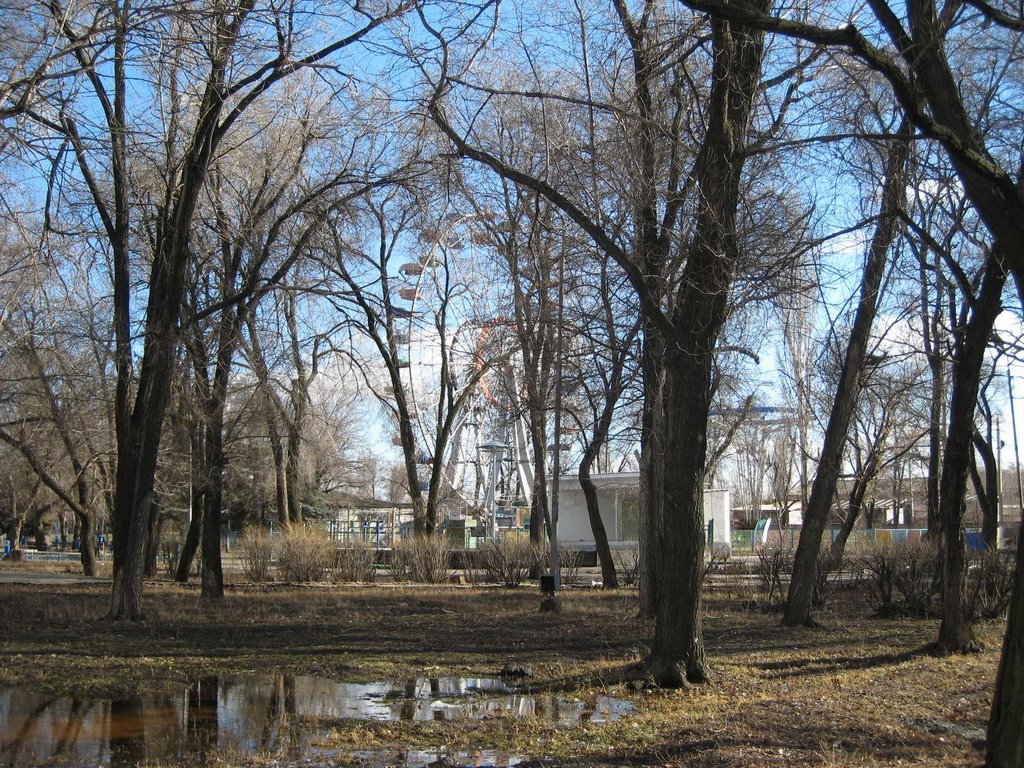 "Чертово колесо" в городском парке, Морозовск