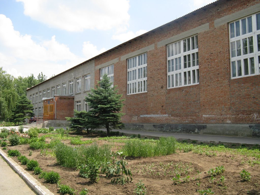 Школа №2(3), Орловский