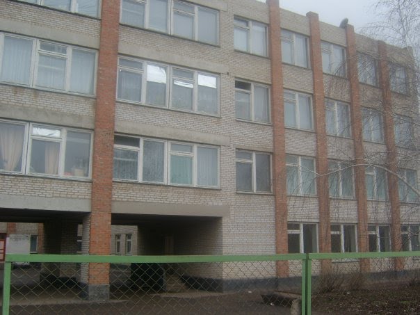 Школа №1, Песчанокопское