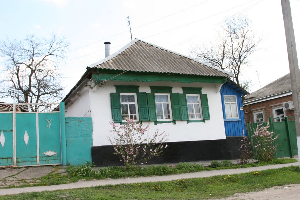 Домовладение в селе Покровском, Покровское