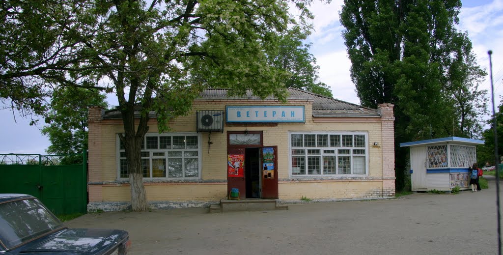 Магазин ВЕТЕРАН в Покровском, Покровское