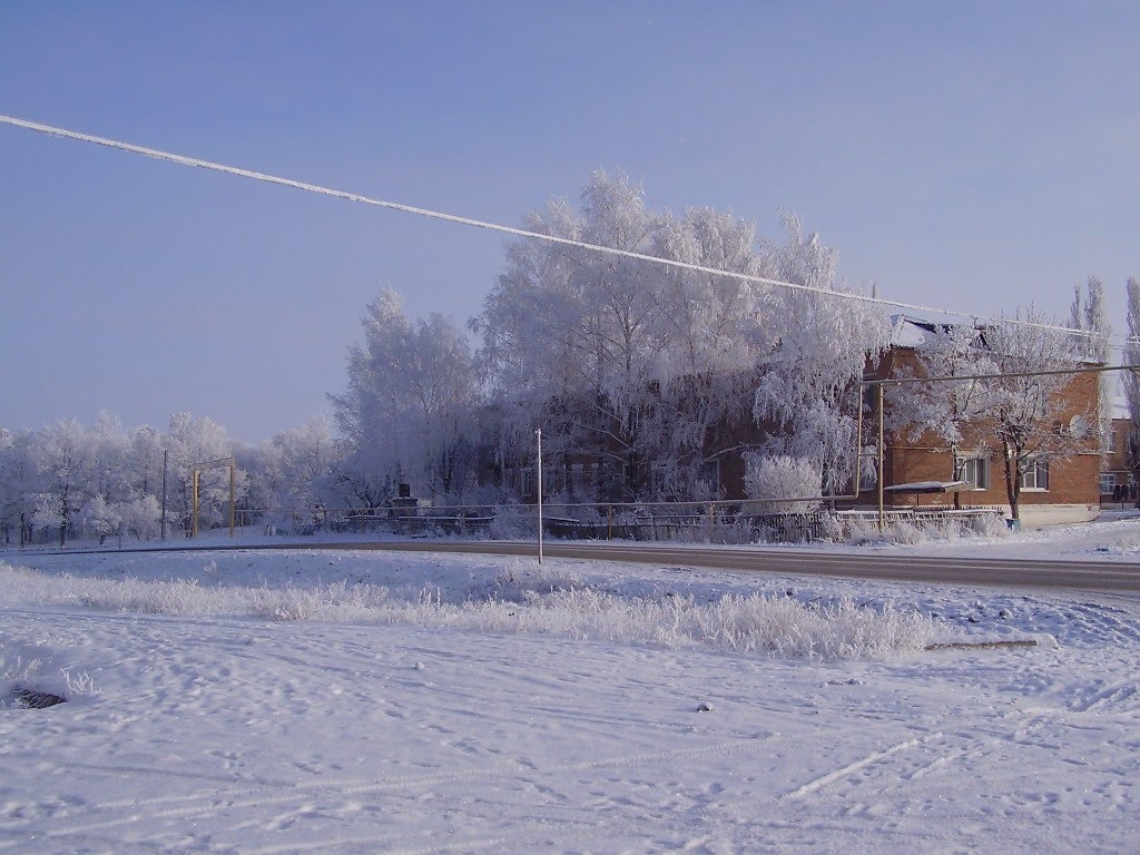 Зима в Покровском ул. О. Кошевого, Покровское