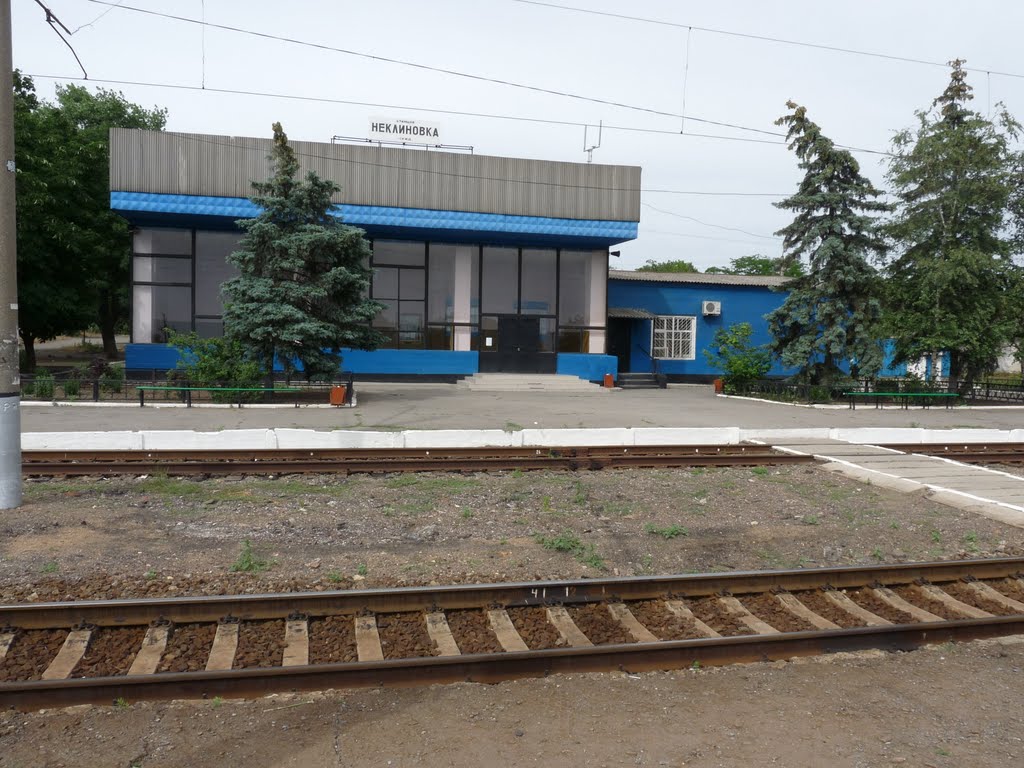 Станция Неклиновка, Покровское
