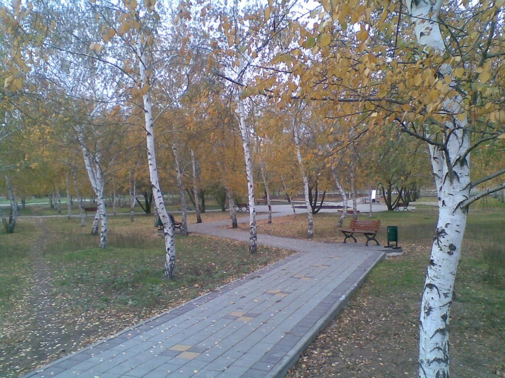 Парк в октябре, Родионово-Несветайская