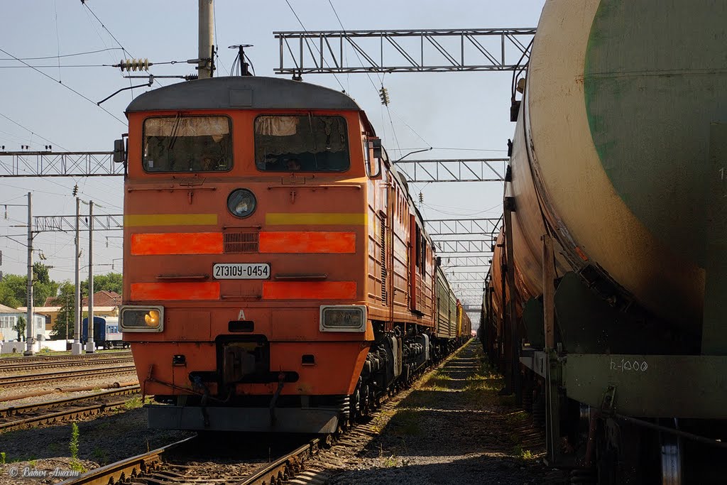 Diesel locomotive 2TE10U-0454 with train, Сальск