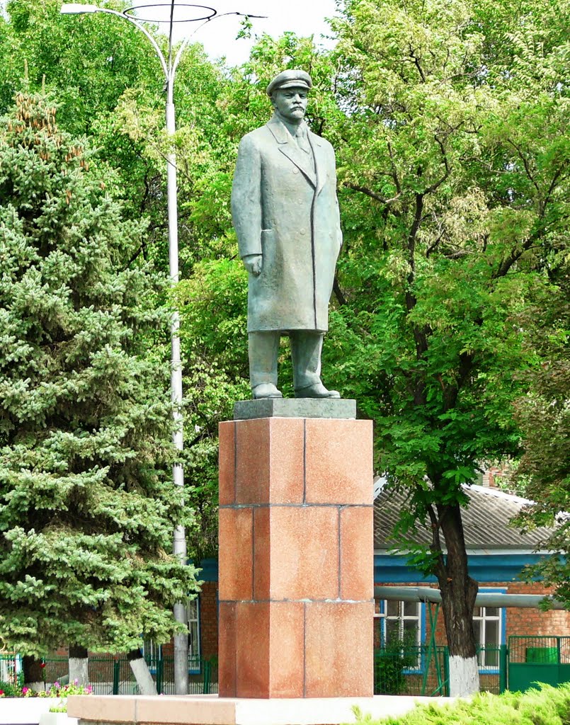 В.И.Ленин, Сальск