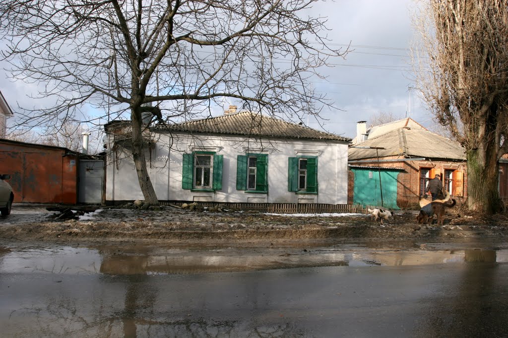 Домъ 29 по Большому Садовому переулку, Таганрог