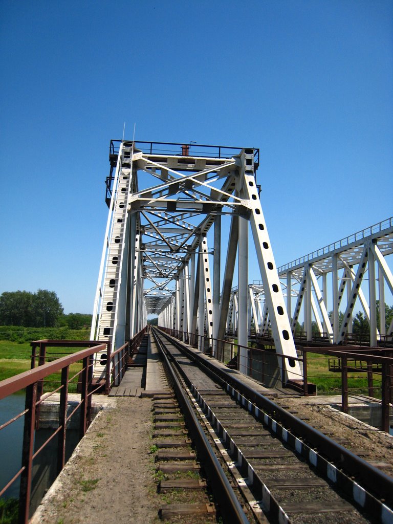 ЖД мост. Railway bridge., Тарасовский