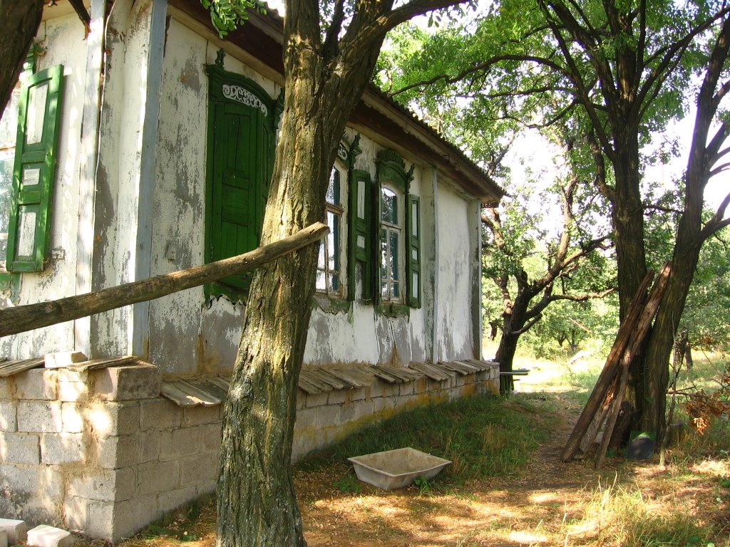 old cossacks house, Тарасовский