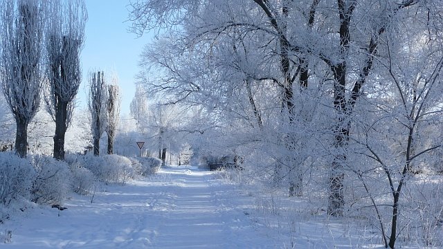 Утро 1-го января 2009 г., Цимлянск