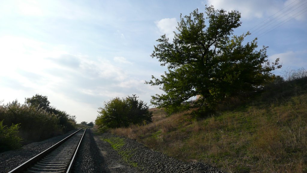 Железная дорога, Цимлянск