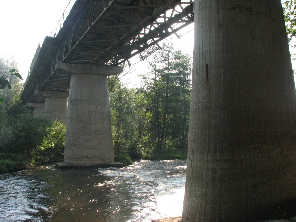 Старый Мост. Гусь-Железный (Old Bridge. The Gus-Zheleznyi ), Гусь Железный