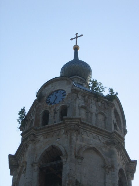 Колокольня Троицкого собора (фрагмент), Гусь Железный