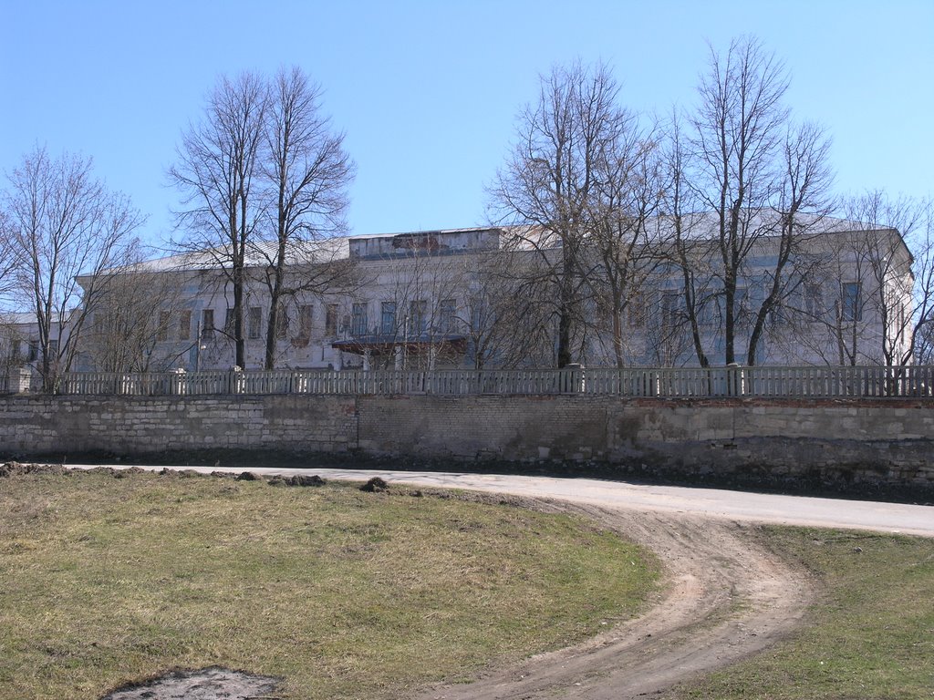 Дворец Баташева (детский санаторий), Гусь Железный