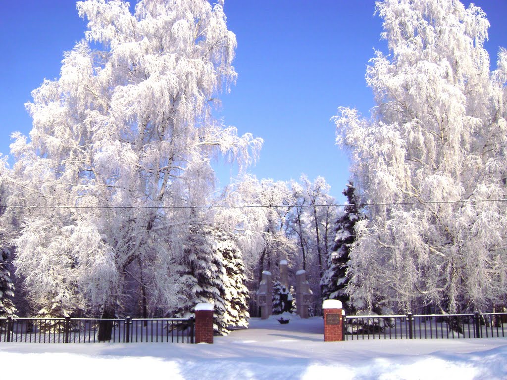 Парк зимой, Ермишь