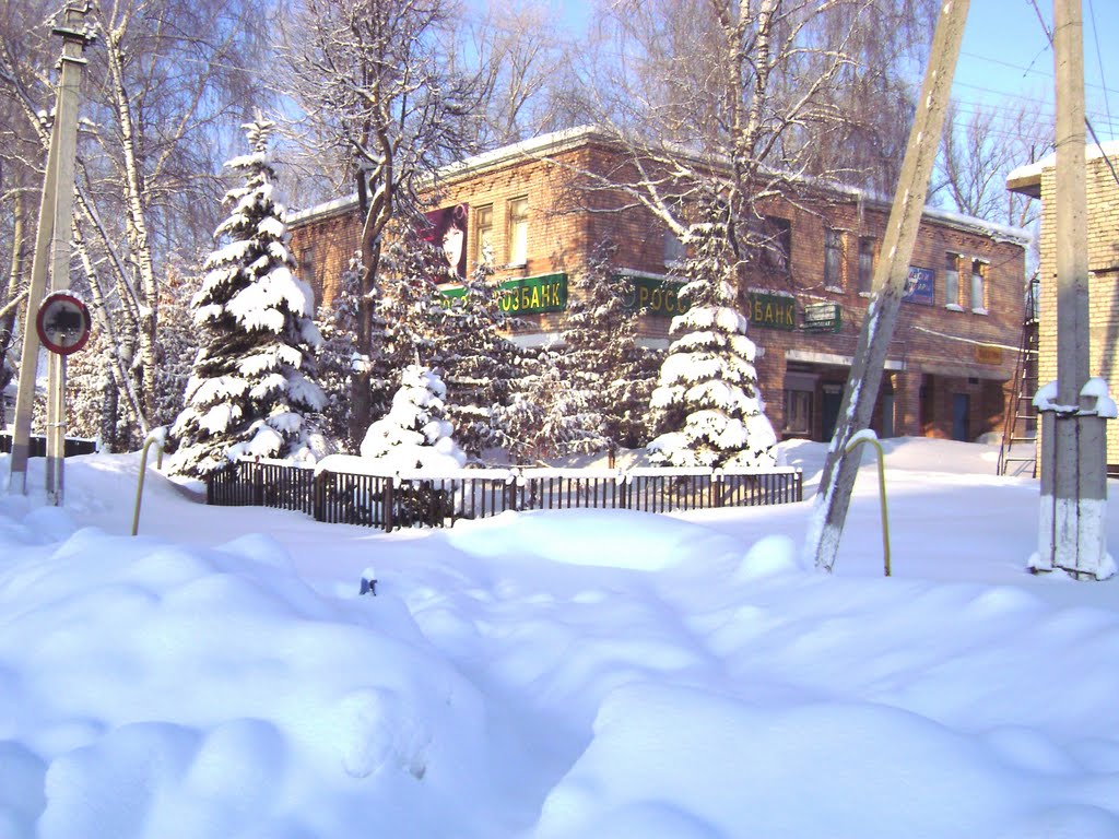 Зима 2011, Ермишь