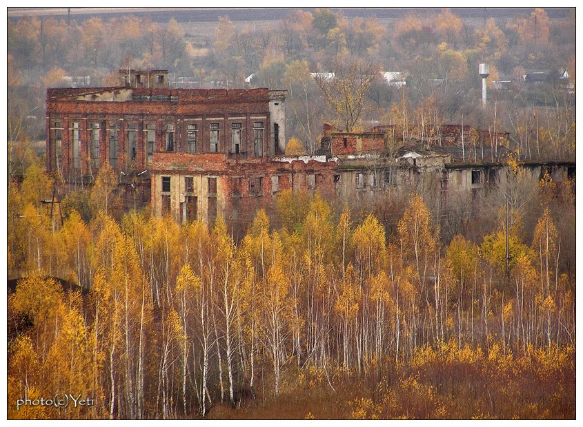 Руины завода в Заречном - Ruines of plant in Zarechny, Заречный