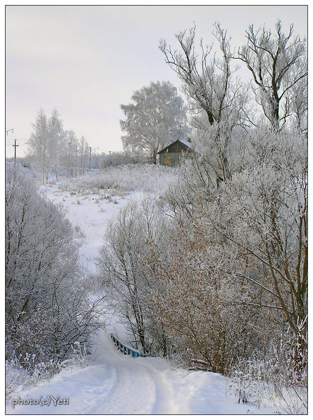 Зима в Милославском - 2010 - Winter in Miloslavskoe, Милославское
