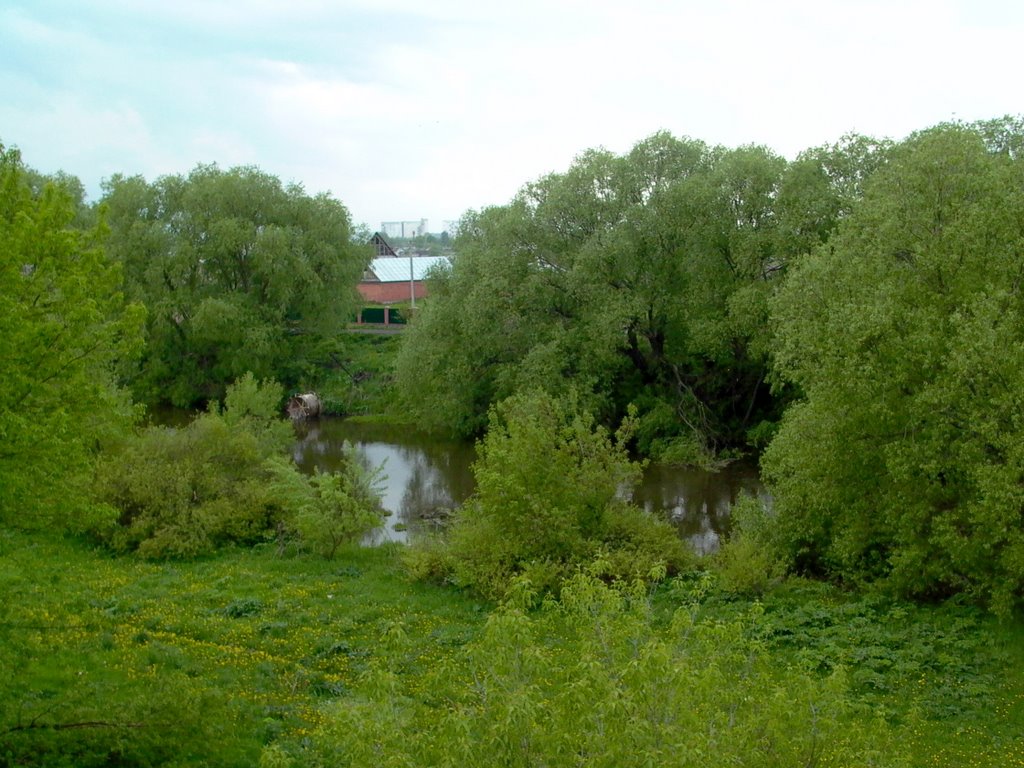 река Проня, Михайлов