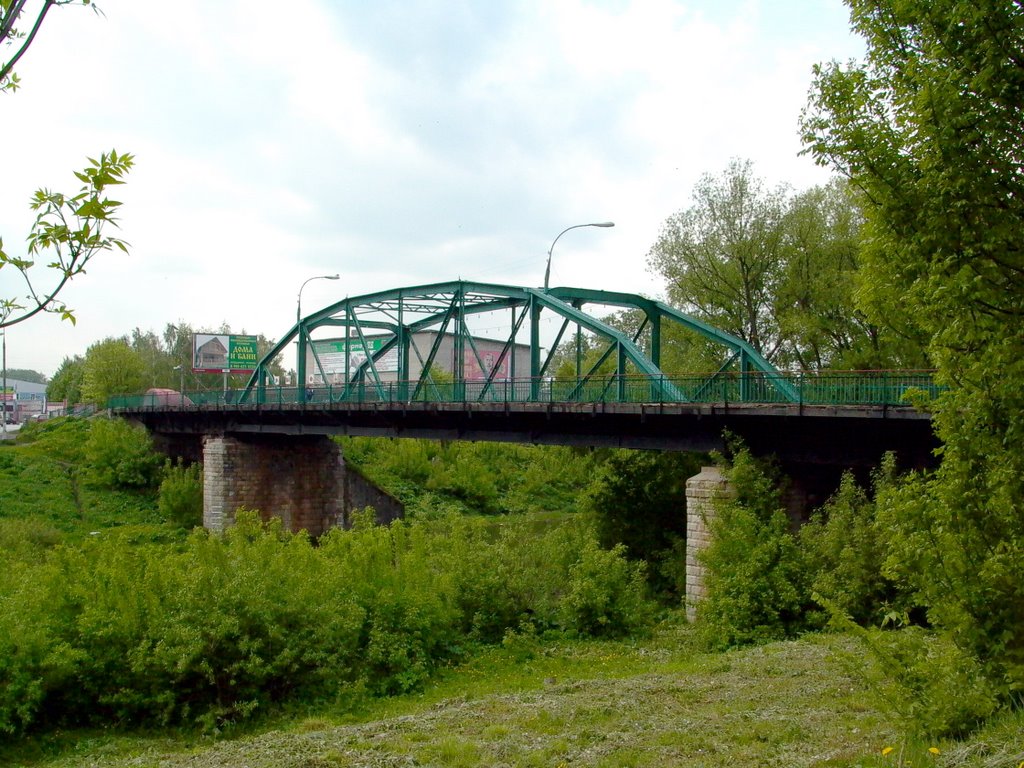 Мост через Проню, Михайлов