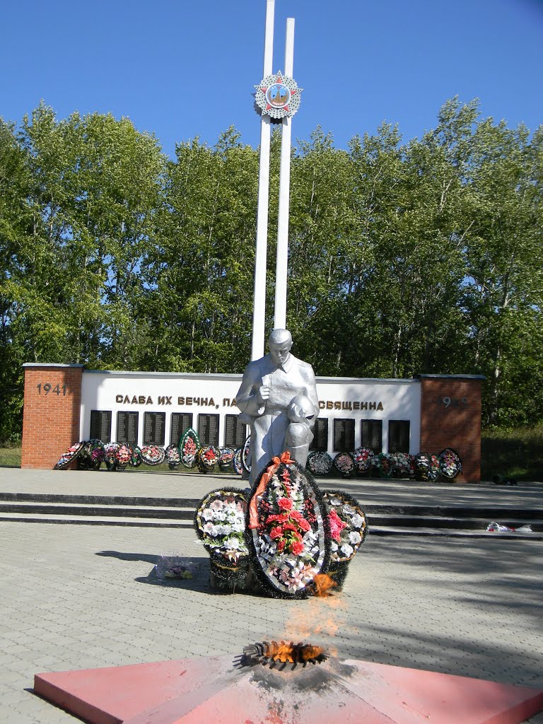 памятник, Пронск