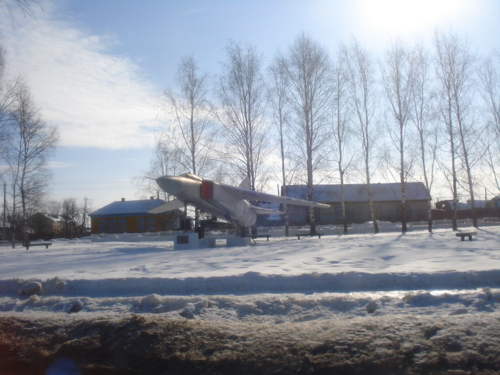 Самолет в селе Путятино, Путятино