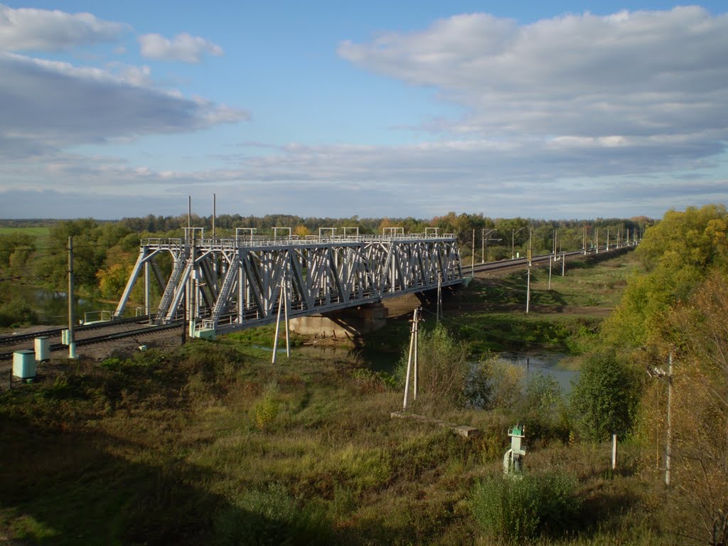 Мост р.Вожа, Рыбное